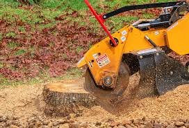 Best Commercial Tree Services  in Big Bear City, CA